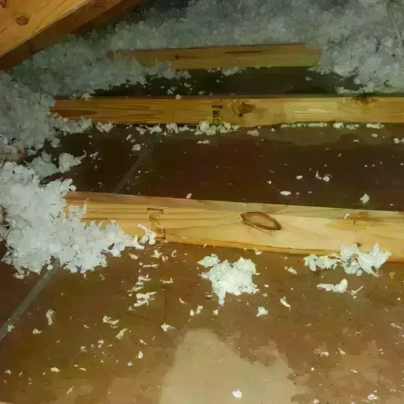 Attic Water Damage in Mounds View, MN