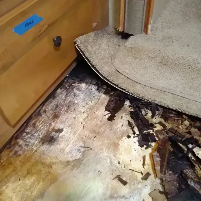 Best Wood Floor Water Damage Service in Mounds View, MN